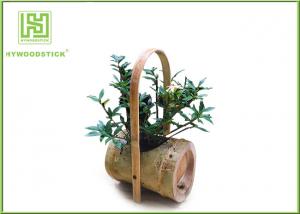 Attractive Indoor Bamboo Flower Pots For Various Succulents Plants