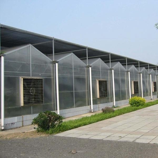 Greenhouse Plastic Sheet/PC Sheet Greenhouse with Stable Structure and Vents