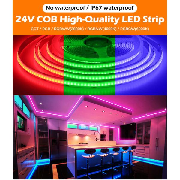 784D RGBW COB LED Strip Full Color DC 12V 24V Magic Digital LED Strip Light Smart Addressable LED Strip
