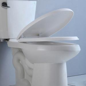 China Ceramic Two Piece Toilet Bowl Wc High White S Trap 300mm Bathroom Commode on sale