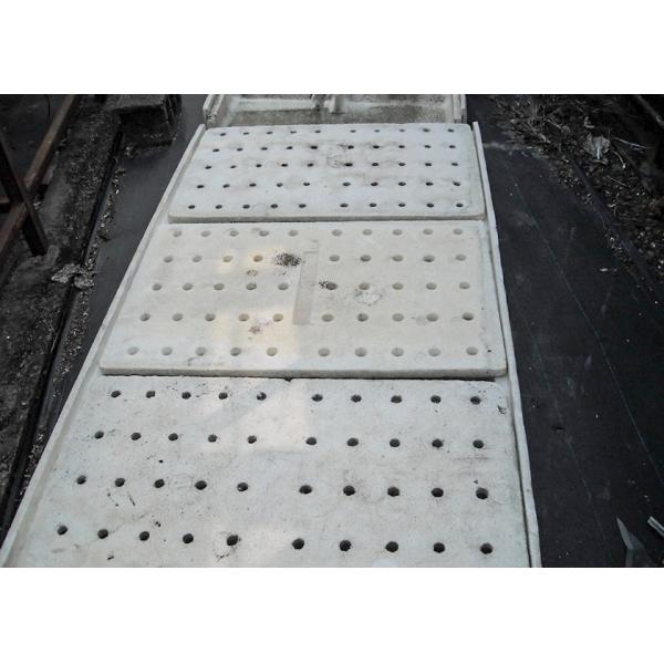 UV Sterilized DWC Hydroponics System Ideal For Disease Resistant Vegetable Cultivation