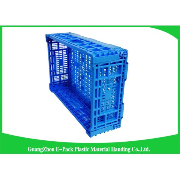 Agriculture Folding Plastic Crates Storage Fruit 60L PP 30kg Eco-Friendly