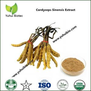 China cordyceps supplement,cordyceps mushroom extract,cordyceps mycelium extract on sale