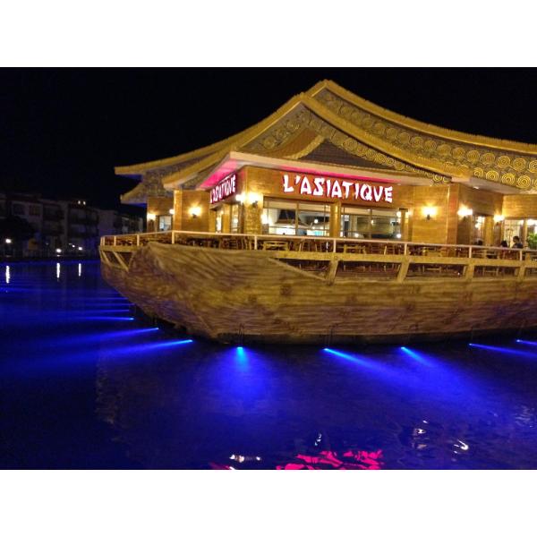 Warm White 2700k swimming pool IP68 led underwater lights