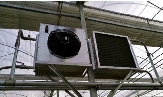 Hydroponic System for Aquaponics in Multi-Span Agricultural Greenhouse