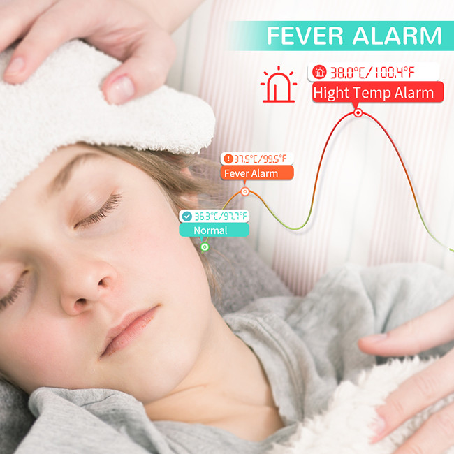 ROHS Handheld Infrared Ear Fever Thermometer
