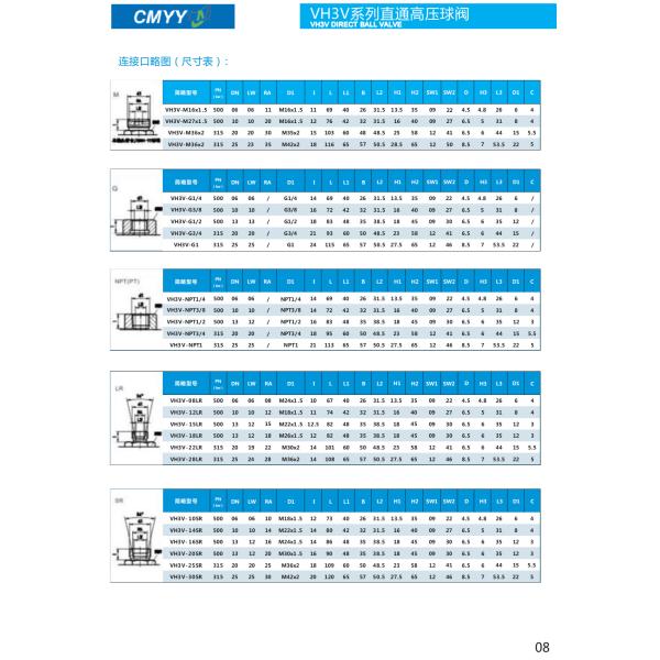 EXW Thread Straight Hydraulic Ball Valve High Pressure Cut-Off Valves