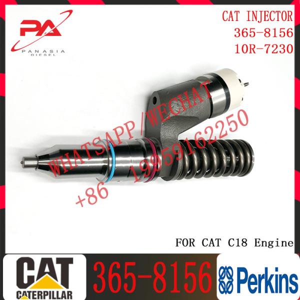 common rail injector 10R-9787 365-8156 253-0616 291-5911 10R-9787 211-3026 276-8307 10R-0724 for Caterpillar C18 Engine