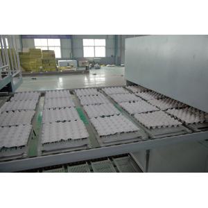 China 104kw 380v Chicken Egg Tray Machine Roller Type 1 Year Warranty on sale