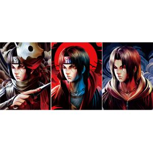 Paper Frame Stand 3d Lenticular Sheets Picture PET Custom Design