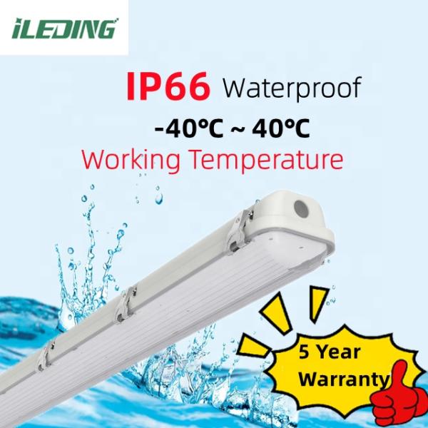80 Ra LED vapor tight 2ft 3CCT Selectable LED vapor tight IP66 for Linkable Lighting