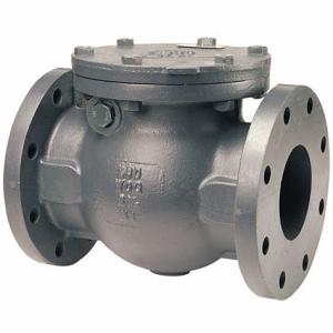 Quality Iron Casting ANSI End Flange Water Non Return Disc Swing Check Valve for sale