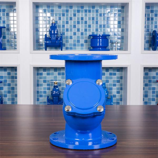 Ggg40 Flange Type Strainer Wastewater DN200 Stainless Steel Threaded Y Strainer