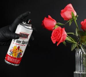 China Aeropak 200ml Aerosol Spray Paint For Real Flowers customizable color on sale
