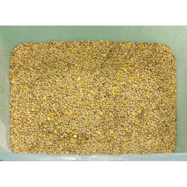 Lentil ChickPeas RGB Color Sorter Machine Automatic Computing