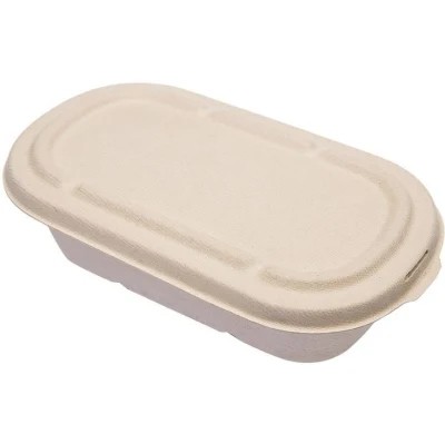 Bento Biodegradable Disposable Dinnerware Salad Compostable Takeaway Container