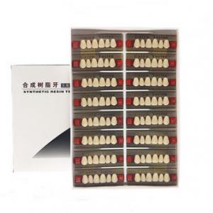 Quality Easy to Use Dental Acrylic Resin Teeth with High Stain Resistance for sale