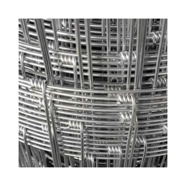 Galvanized Fixed Knot Field Fence Metal Iron White Garden Fence Aluminum Fence Low Carbon Steel Wire Main Iron Gate Designs