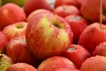 Ss304 Apple Processing Line Automatic Fruit Juice Making Machine 380V