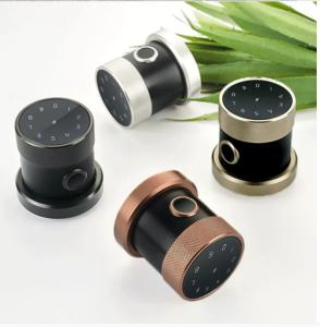 Quality 150 Events Zinc Alloy Smart Fingerprint Door Lock Semiconductor 120 Templates for sale