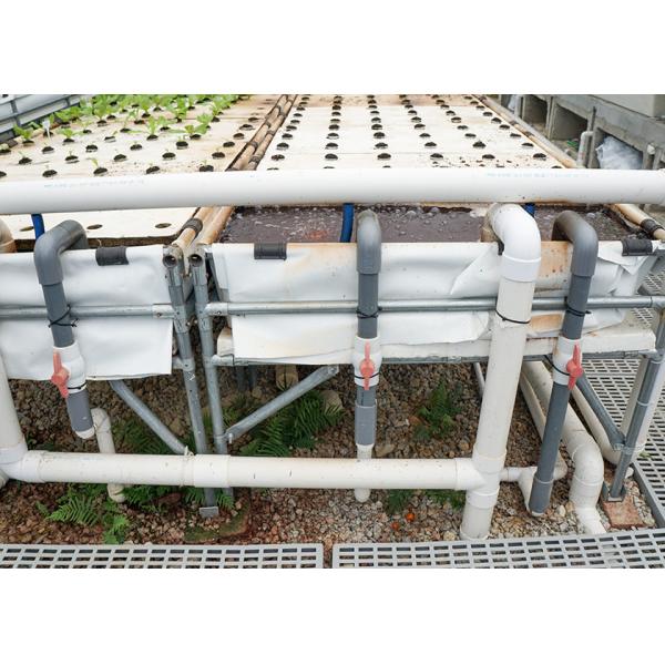 Space Saving DWC Hydroponics System Oxygen Rich For Small Space Vegetable Gardening