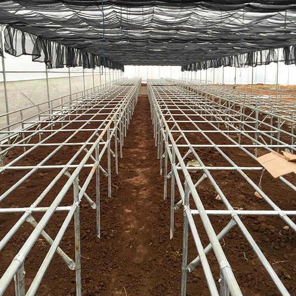 Space Saving DWC Hydroponics System Oxygen Rich For Small Space Vegetable Gardening