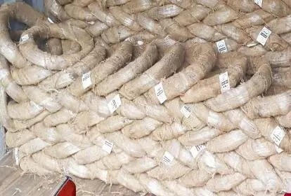 Binding Construction Galvanized Iron Wire 1.2mm 10 Kg Per Roll