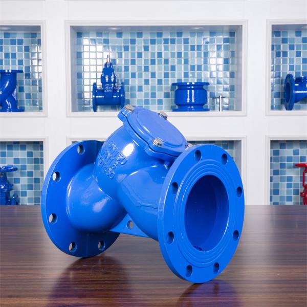 Ggg40 Flange Type Strainer Wastewater DN200 Stainless Steel Threaded Y Strainer