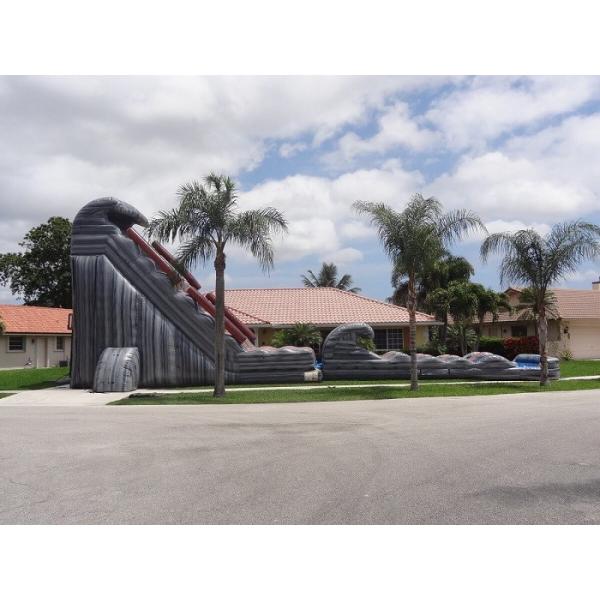 Amusement Park 30 FT 2 Lane Inflatable Water Slides Custom PVC Waterproof