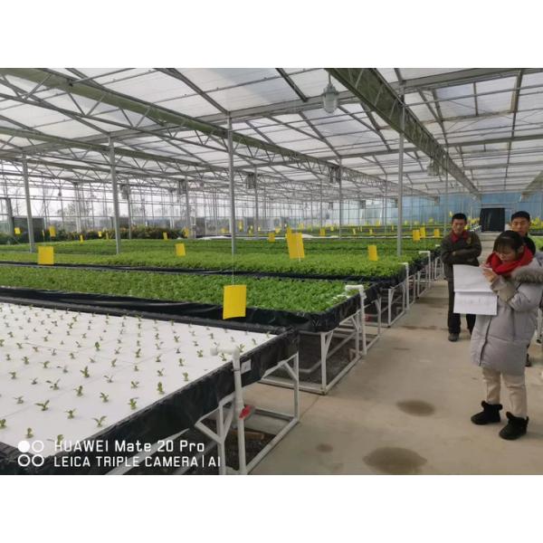 Ebb&Flow Rolling Bench Floating Board DWC Deep Water Culture Greenhouse Soilless Vegetables Cultivation