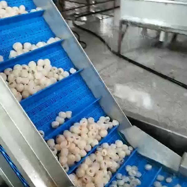 Factory Custom Canned Lychees Multihead Weigher Filler Auto Solid Filling Machine