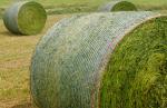 Qualified Hay Nets,Bale Wrap Net,Silage Wrap,Grass Wrapping HDPE Bale Wrap Net,1