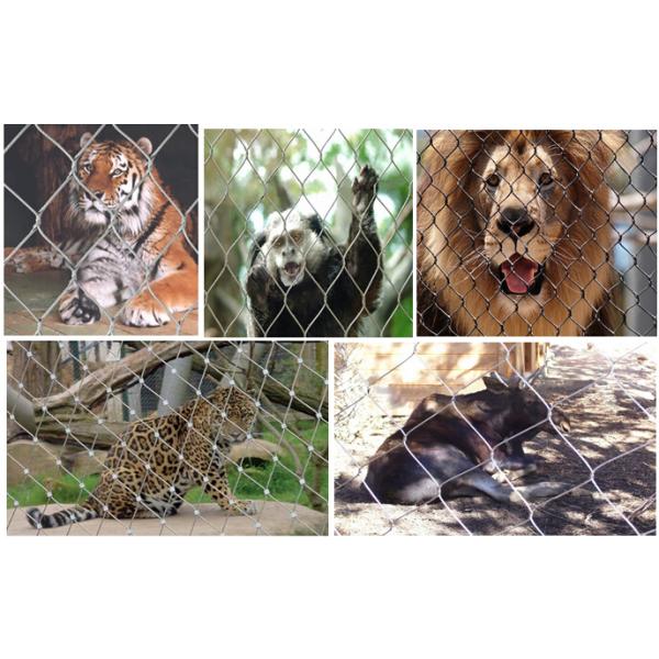 Stainless Steel Zoo Wire Mesh , Knitted Animal Enclosure Mesh Fence