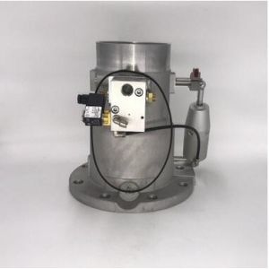 Carton Package Screw Air Compressor Intake Valve Spare Parts