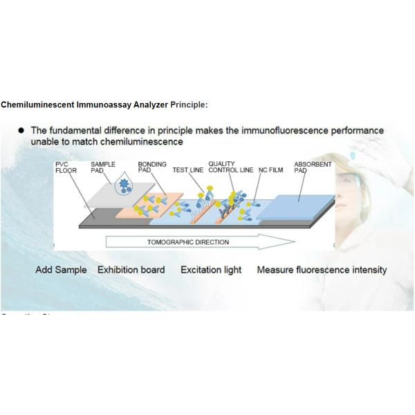 Pet animal in vitro diagnostics dog detection reagent single test monotest Total Thyroxine T4 Thyroid in POCT analyzer