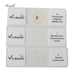 Specimen Medical 50pcs Set Parasite Microscope Slides 1.2mm