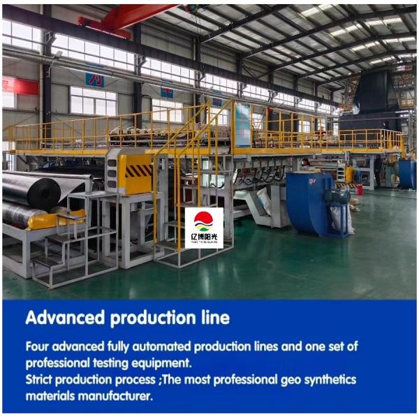 0.5mm 0.75mm HDPE Geomembrane Plastic Liner for Pond Dam Design Style geomembrane