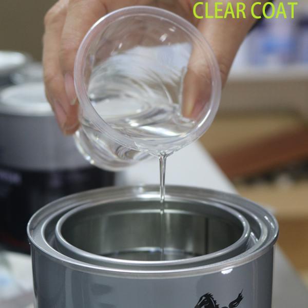 Custom Acrylic Polyurethane Auto Clear Coat Paint Chemical Resistant