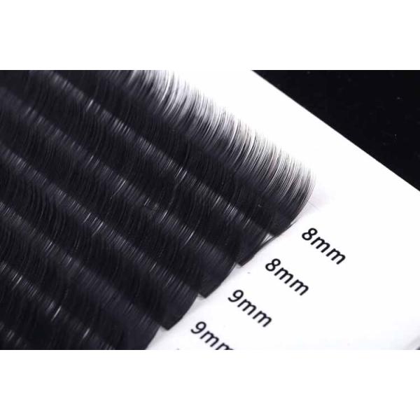 Individual False 0.2mm Classic Lash Extensions B Curl