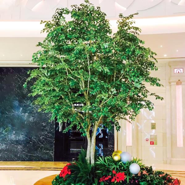 B Style Large Artificial Ficus Tree Custom Height Shopping Mall Foliage Tree Natural Looking
