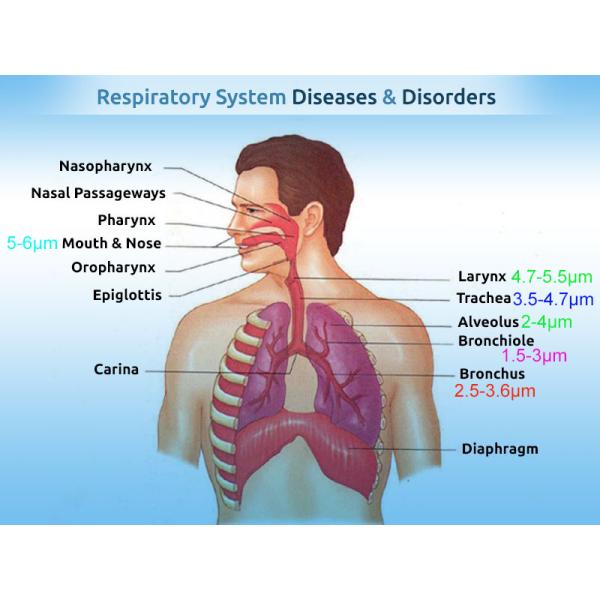 Commercial Cough Portable Nebulizer Inhaler Machine Healthcare MMAD 3.09μm