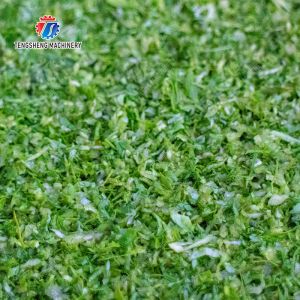 chili onion Greens Lettuce Cao Xin Baby Cabbage Chinese Cabbage Cabbage Large