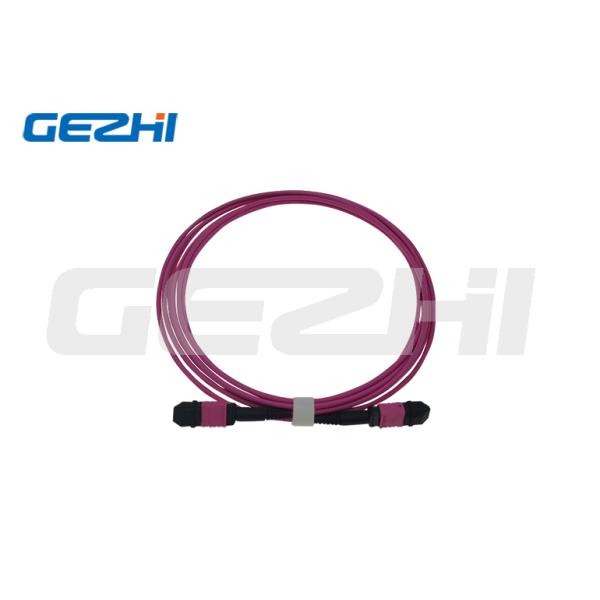 12Core Data Center Om4 Red Rose Round Mtp Mpo Optical Cable Patch Cord