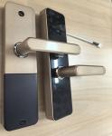 Bluetooth / WiFi Smart Door Lock With Remote Control Functions