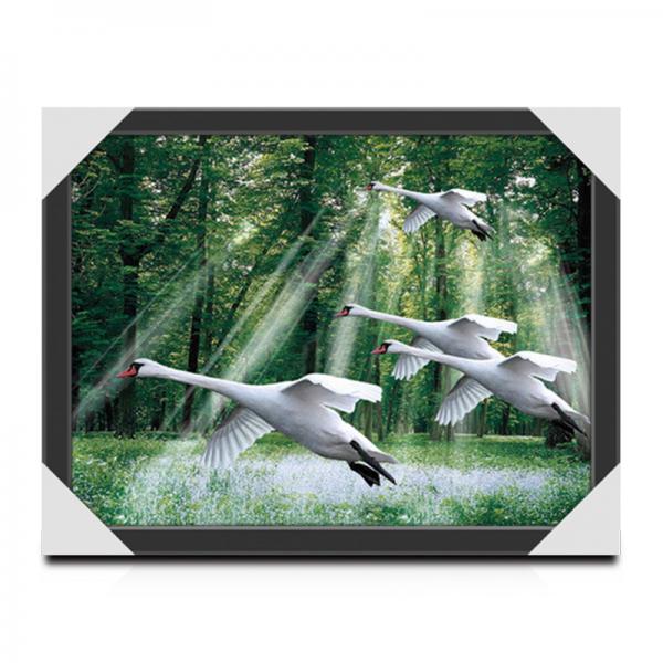 50 x 70cm Large Poster 3d Lenticular Image Printing Service For Advertisement And Decoration