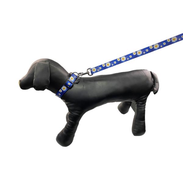 Adjustable Flower Design Dog Puppy Collar And Lead Leash Set In 2 Colours