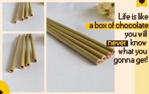 China Eco Friendly Factory Directly Sales Customized Logo Bamboo Straw With Brush 100 % Natural Bamboo Straw bagease bagpac on sale
