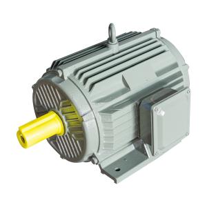 Quality IP55 High Efficiency Electric Motor Rigidity Ye5 Ie5 Electric Induction Motor for sale