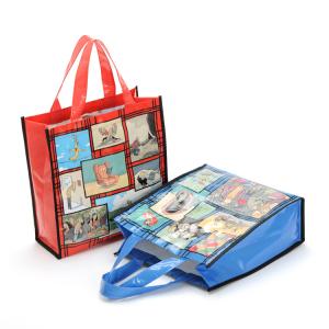 Quality Reusable Promotional Shopping Bag for sale