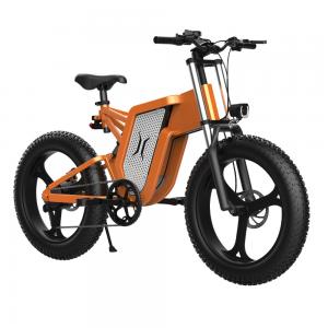 China High Speed 55km/h Fat Tire Off Road Electric Bike on sale